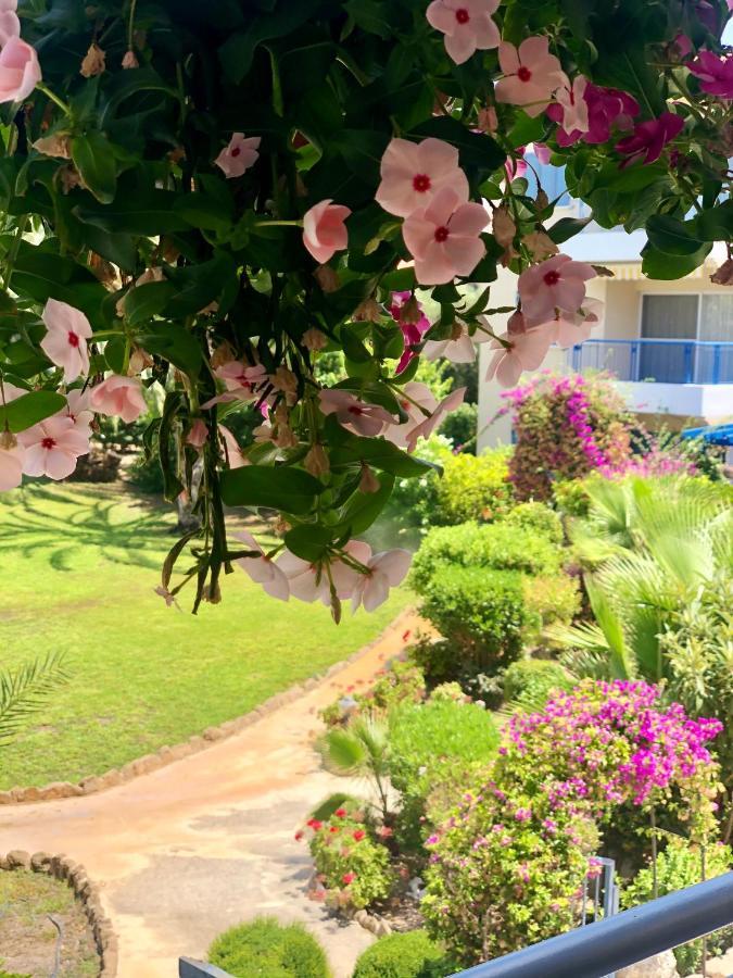 Paradise Gardens With A Large Terrace Πάφος Εξωτερικό φωτογραφία