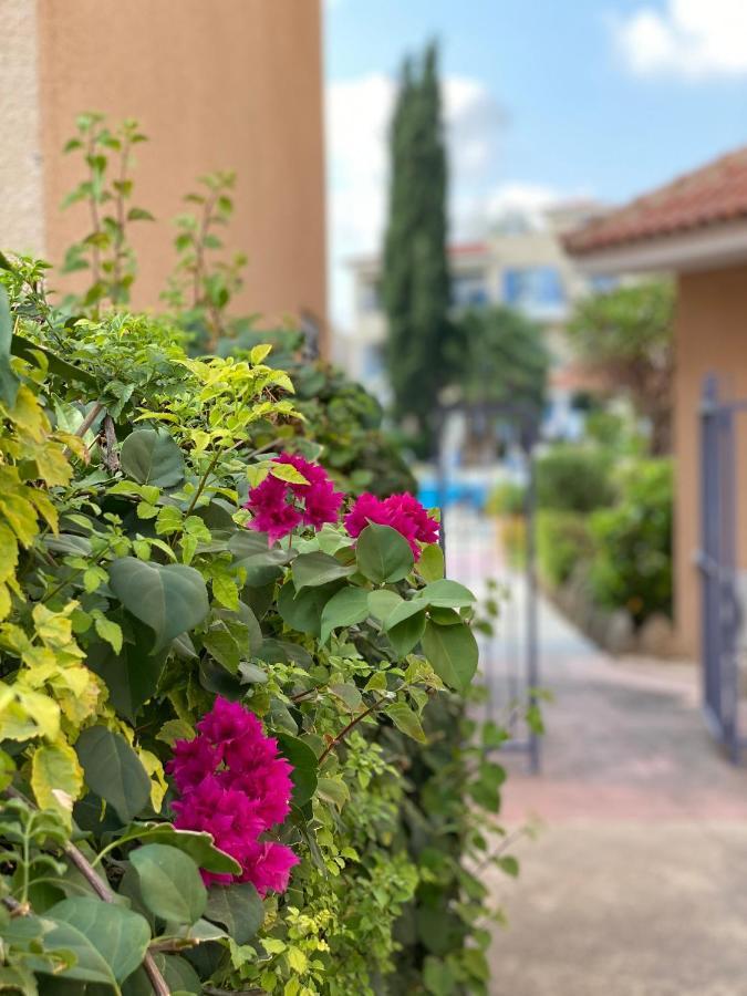 Paradise Gardens With A Large Terrace Πάφος Εξωτερικό φωτογραφία