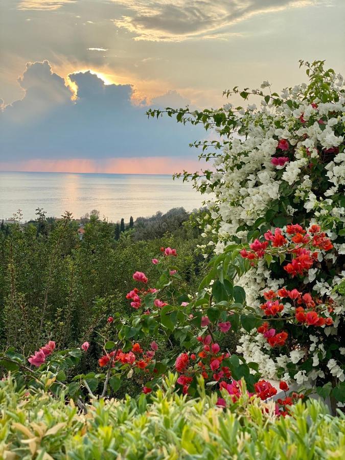 Paradise Gardens With A Large Terrace Πάφος Εξωτερικό φωτογραφία