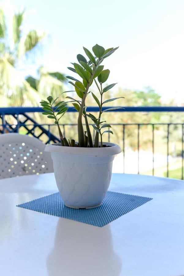 Paradise Gardens With A Large Terrace Πάφος Εξωτερικό φωτογραφία